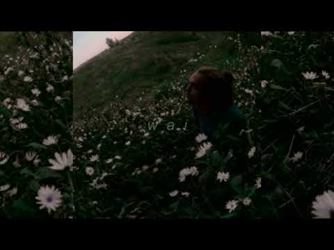 Видео: лампабикт — покой // slowed + reverb