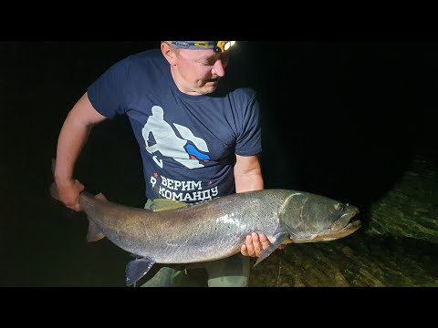 Видео: Лучшая приманка на хищника горных рек/На нее облавливаю всех/ОТЗЫВ на Mepps Aglia Long/Меппс.