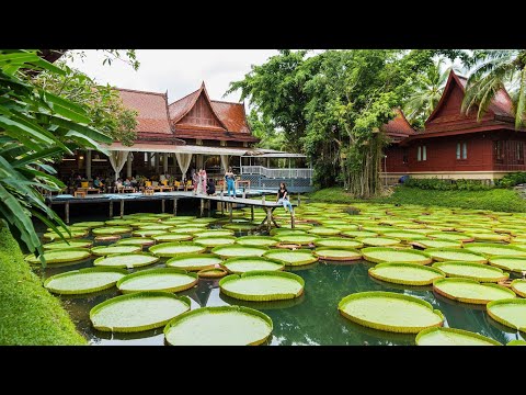 Видео: Пляж с самолетами (Mai Khao), кафе с кувшинки Ma Doo Bua, Old Phuket Town, гора обезьян