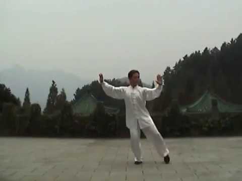 Видео: 8 форм тайцзи стиль Ян, Мастер Ван Лин 1