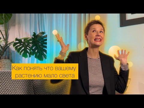 Видео: Симптомы нехватки света для комнатных растений