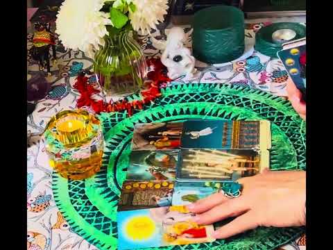 Видео: 🛡️🪬🛡️» Работа Бизнес Карьера ☝️ какие энергии возле Вас Сегодня‼️ О чем вы скоро Узнаете?!!!».‼️🛡️🪬