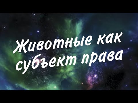 Видео: Закон об ответственном обращении с животными