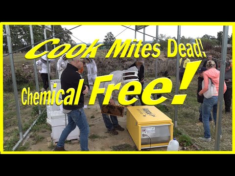 Видео: Контроллер клещей Varroa — химическое оружие против клещей Varroa