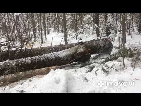 Видео: ТДТ-55 порвался трос.