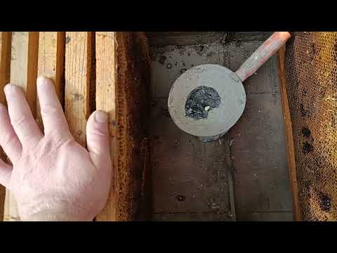 Видео: Буг кардани сущ ромка.чи хел ромка сушро аз восковой моль,аз митаю кирм задан эхтиет кунем. 