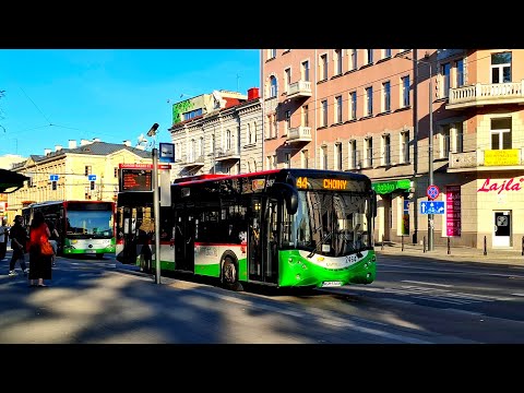 Видео: Один день жизни в Люблине. Чем я тут занималась. 30.06.2025