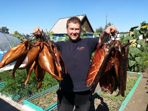 Видео: КОПЧЕНИЕ ОКУНЕЙ И ЩУК НА БЕРЕЗЕ. ПОДГОТОВКА К КОПЧЕНИЮ. ПОДВЯЛИЛ И ЗАКОПТИЛ БОГУЧАНСКИХ ТРОФЕЕВ !!!