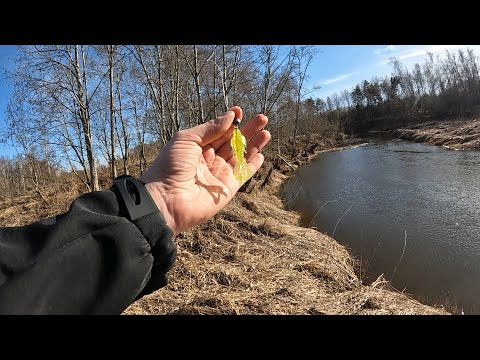 Видео: Приманка РАЧОК ловит Мартовскую ЩУКУ! Lucky John BUG. Открытие сезона!