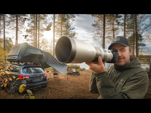 Видео: Фотопутешествие в одиночку с A7IV и объективом 200-600 мм