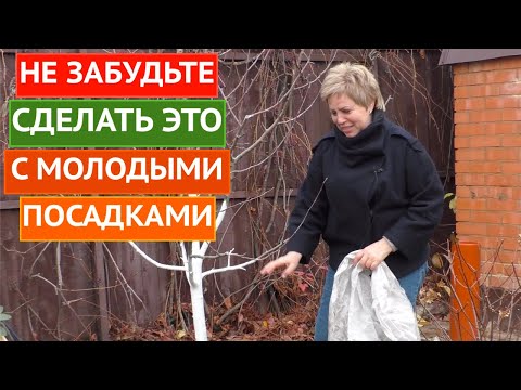 Видео: КАК ЗАЩИТИТЬ МОЛОДЫЕ ПЛОДОВЫЕ ДЕРЕВЬЯ!