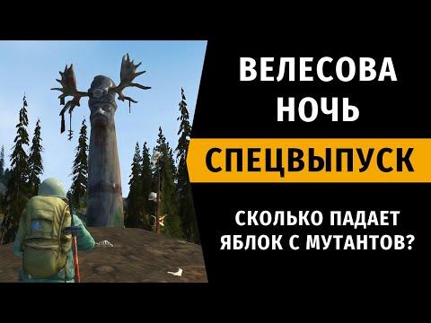 Видео: Велесова Ночь. Спецвыпуск №1. Stay Out | RU2