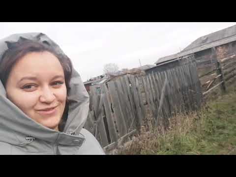 Видео: 17 октября 2025 г.