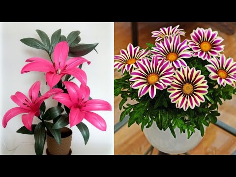 Видео: Как сделать красивый цветок из полиэтиленового пакета | Цветочные ремесла