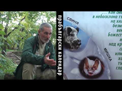 Видео: 10ти клип ПО СЛЕДИТЕ С ДЯДО!!! - интервю