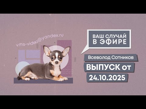 Видео: Ваш случай в эфире. Выпуск от 24.10.2025