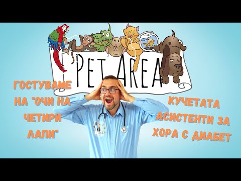 Видео: Фондация "Очи на Четири Лапи"  Част 4 : Явор Крумов и кучетата асистенти за хора с диабет.