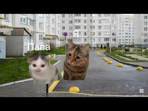 Видео: Скулбой в реальности, 4 серия - Побег через крышу @Tima@linkedsquad@TopsyPlay.