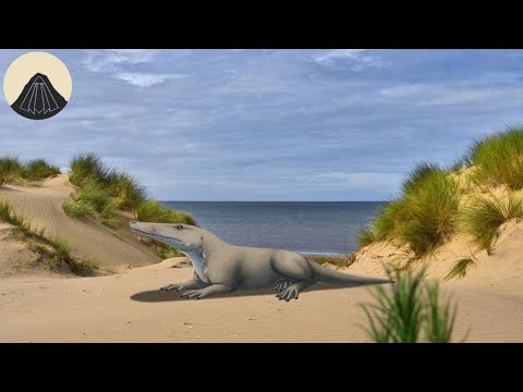 Видео: Эволюция китов