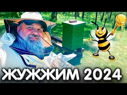 Видео: Аномальная ВЕСНА 2024.