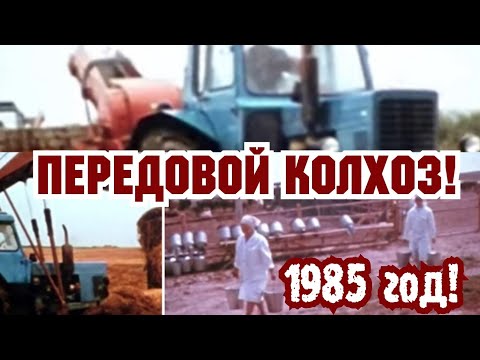 Видео: ХРОНИКА СССР!1986 ГОД!БЕЛОРУССКИЙ ПЕРЕДОВОЙ КОЛХОЗ!