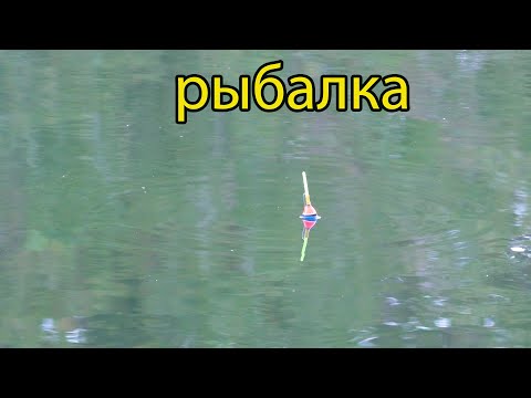 Видео: Рыбалка на поплавок