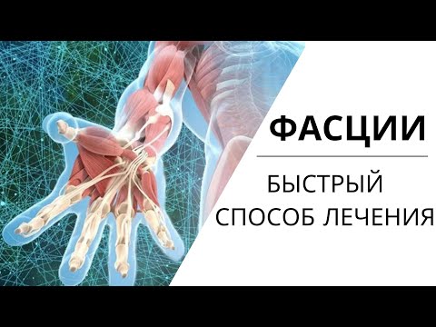 Видео: ФАСЦИИ | РАБОТА с фасциями тела