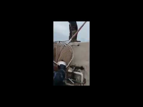 Видео: Не важно, сколько нам лет, нам всегда нужно место, которое можно назвать домом, потому что без 😁👍