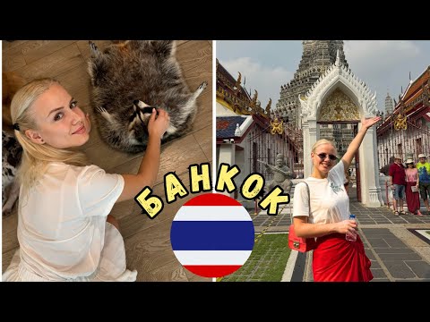 Видео: ТАЙНИТЕ на БАНКОК: Храмове и кафе с диви животни🦝