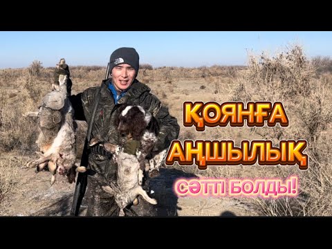 Видео: Дизимен керемет аңшылық #охота #аңшылық