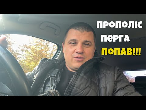 Видео: Довіряй, але перевіряй!! Прополіс та перга від бджолярів🐝