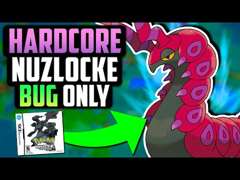 Видео: МОГУ ЛИ Я ПОБЕДИТЬ ПОКЕМОНА БЕЛОГО ХАРДКОРНОГО НАЗЛОКА, ИСПОЛЬЗУЯ ТОЛЬКО ЖУКОВЫЕ ТИПЫ!? (Вызов По...