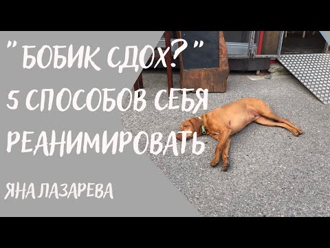 Видео: ЭНЕРГИЯ НА НУЛЕ? 5 простых способов выйти в плюс, о которых мы забываем #энергия#ресурсы#истощение
