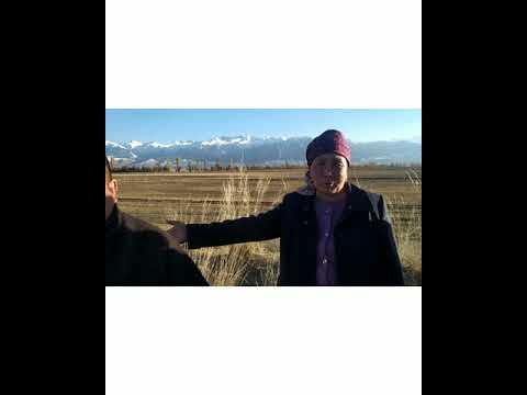 Видео: туз жол корбогон айыл Шапак