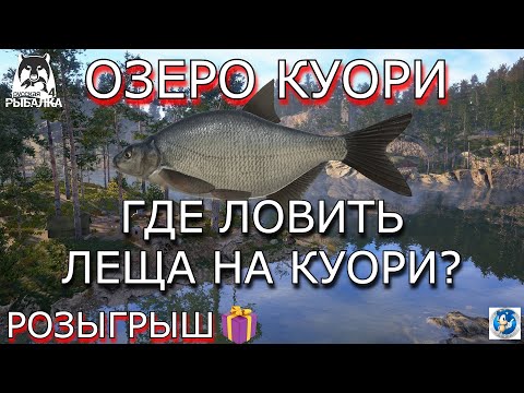 Видео: 🌟ОЗЕРО КУОРИ🌟ГДЕ ЛОВИТСЯ ЛЕЩ?🌟Русская Рыбалка 4(РР4)🌟