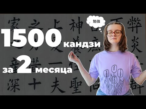 Видео: 42. Выучила 1500 кандзи за 2 месяца😲😲😲 еще раз про метод KanjiDamage