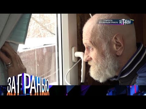 Видео: За гранью . Выпуск от 24.09.2025 - «Старость в собачьем приюте » Передачи НТВ