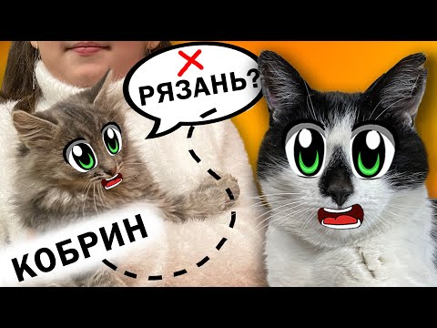 Видео: СПАСЕНИЕ БЕЗДОМНЫХ КОТЯТ: НОВЫЕ ХОЗЯЕВА! А НУ-КА ДАВАЙ-КА ПОМОГАЮТ НАЙТИ КОШКЕ ДОМ! КТО СПАСЕТ 4 ?