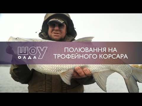 Видео: Олдскул! Полювання на Трофейного Корсара | ШоуОлда №255