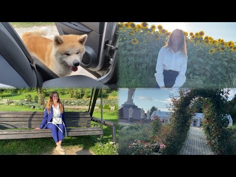 Видео: Влог: не працювала, зате надихнулась