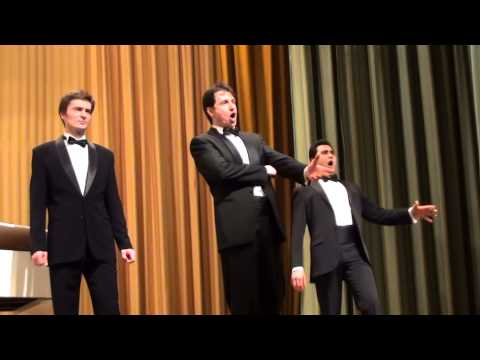 Видео: РУССКАЯ НАРОДНАЯ ПЕСНЯ -  ВДОЛЬ ПО ПИТЕРСКОЙ  - ТРИ БАСА