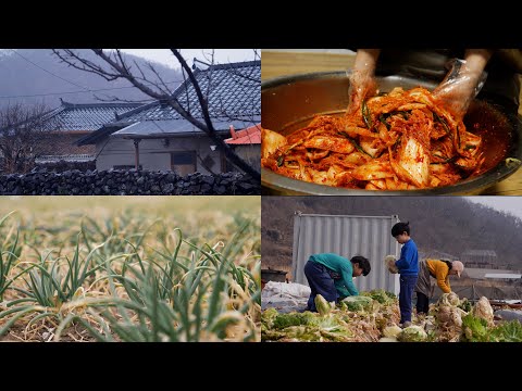 Видео: Жизнь корейской сельской семьи. Они готовят кимчи и картофельный суп.