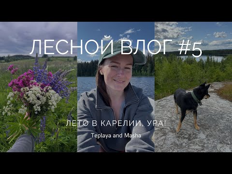Видео: ЛЕСНОЙ ВЛОГ #5 | Лето в Карелии | Экскурсия по Хюгге