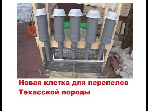 Видео: Новая клетка для перепелов Техасской породы