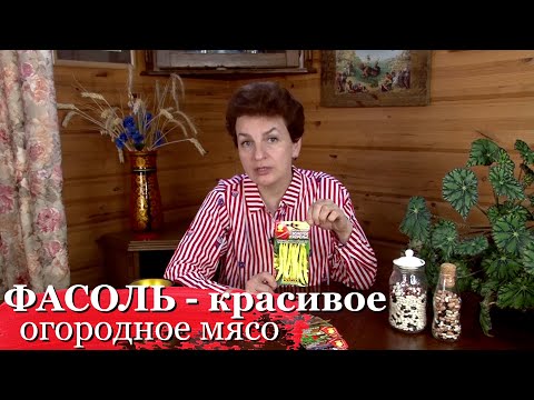 Видео: Фасоль - красивое огородное мясо