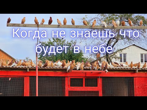 Видео: Когда не знаешь что  будет в небе