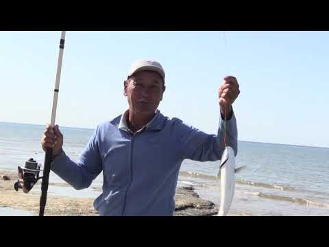 Видео: Рыбалка в сентябре