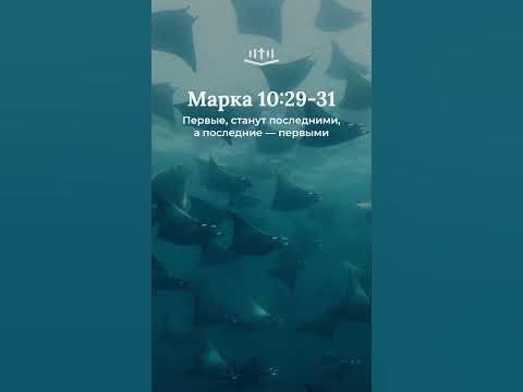 Видео: Марка 10:29-31 современный перевод Библии #shorts