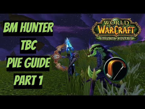 Видео: Стрелы, лук и верный друг! | БМ Охотник ПВЕ Гайд | BM Hunter PVE Guide | WoW Burning Crusade(TBC) №1