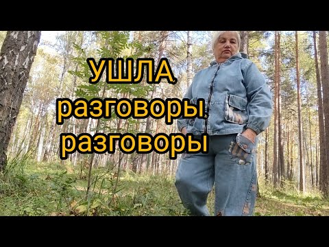 Видео: Снимаю по новому/ Гуляю по лесу/ Варю Гороховой суп в скороварке/